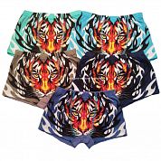 �����-������� �� ��������� "����"